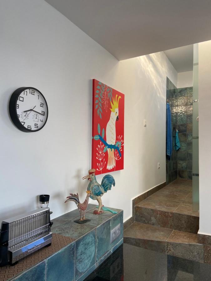 Villa Oasis La Paz - Acaymo Loft - Adults Only - Puerto de la Cruz  Eksteriør billede