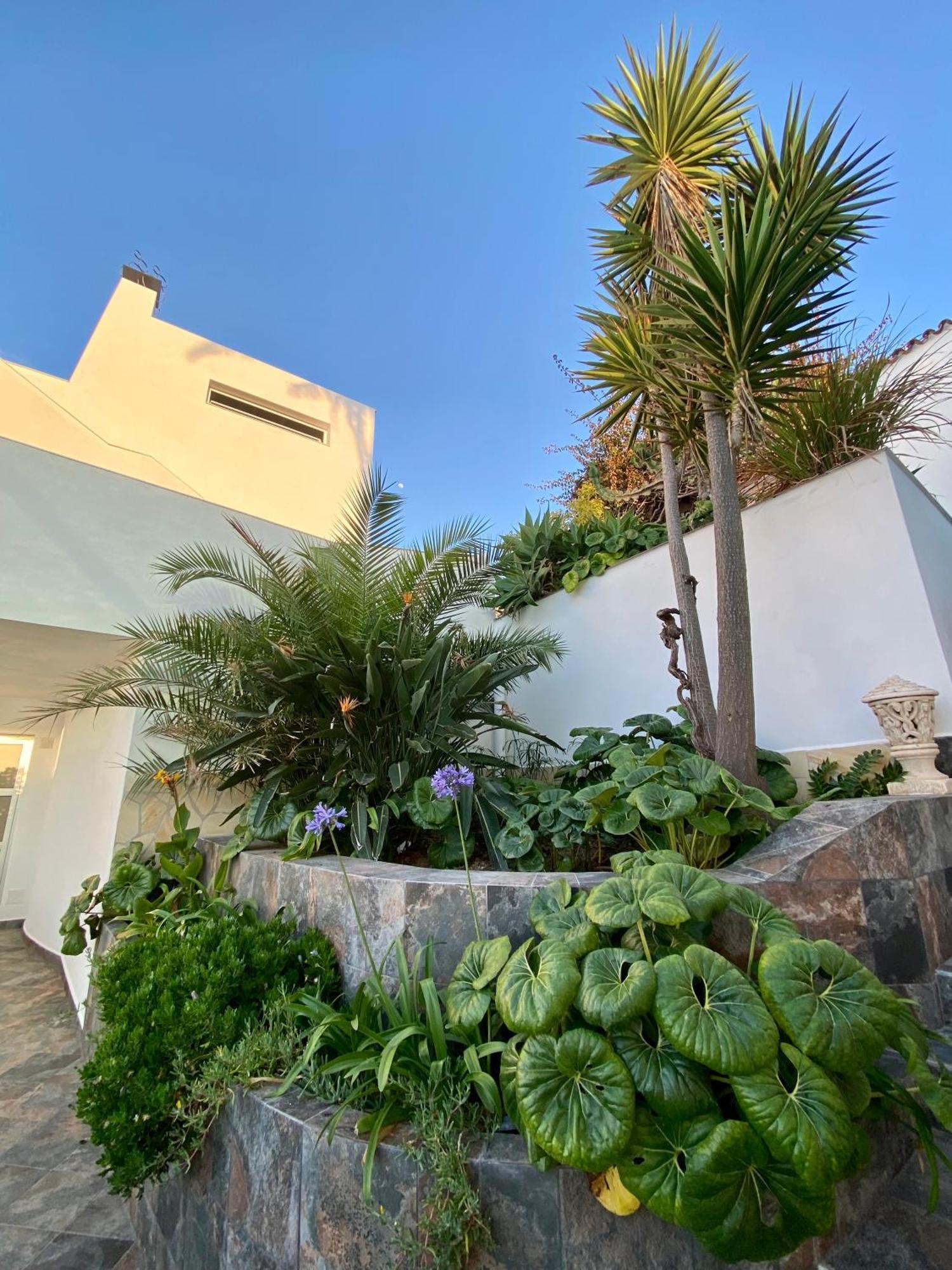 Villa Oasis La Paz - Acaymo Loft - Adults Only - Puerto de la Cruz  Eksteriør billede