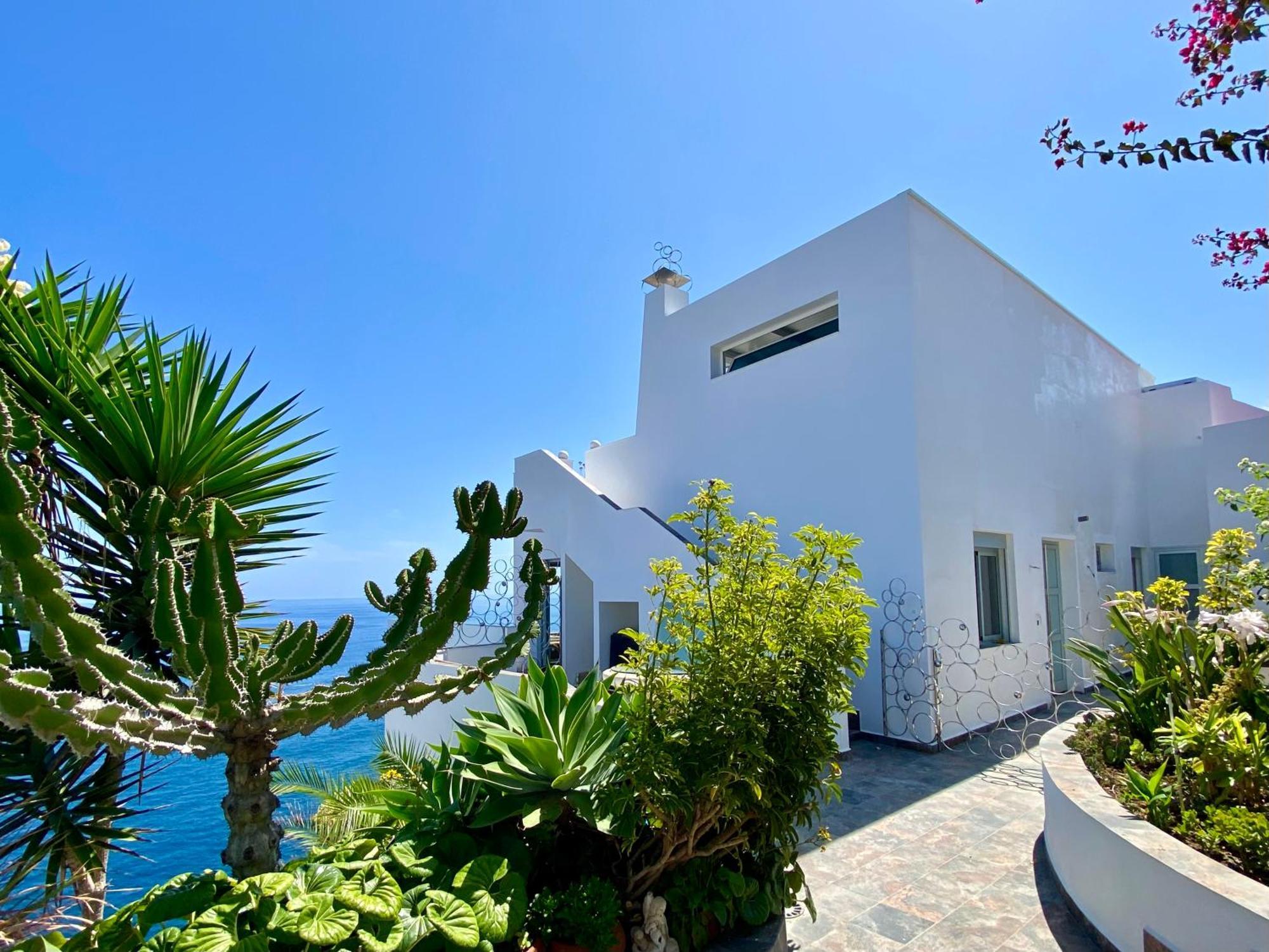 Villa Oasis La Paz - Acaymo Loft - Adults Only - Puerto de la Cruz  Eksteriør billede